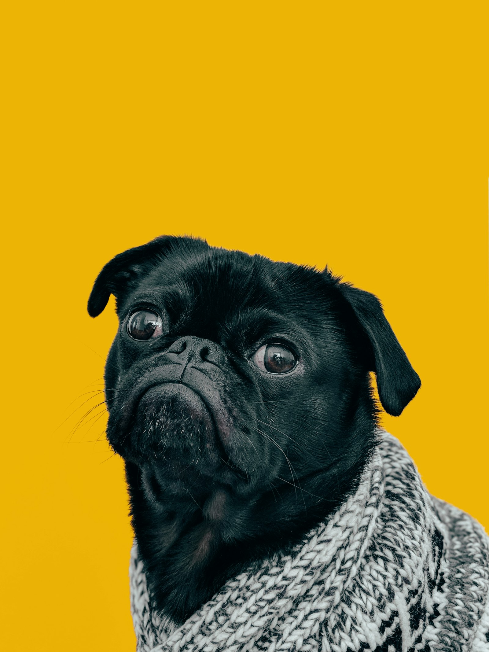 Patient attentif